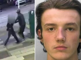 Man Snatches Woman from the street randomly caught on video