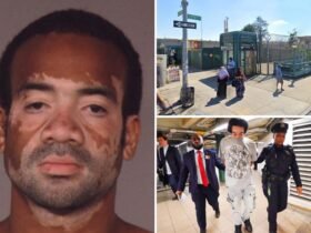 Maniac with 20 earlier arrests broken in a random attack on La Grandma, 70, in NYC Subway Station: Sources