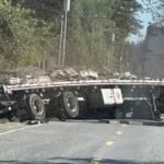 Millions Of Honeybees Escape After Truck Overturns