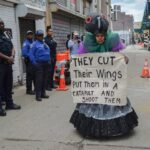 'Mother pigeon', the artist fighting to save NYC's urban birds