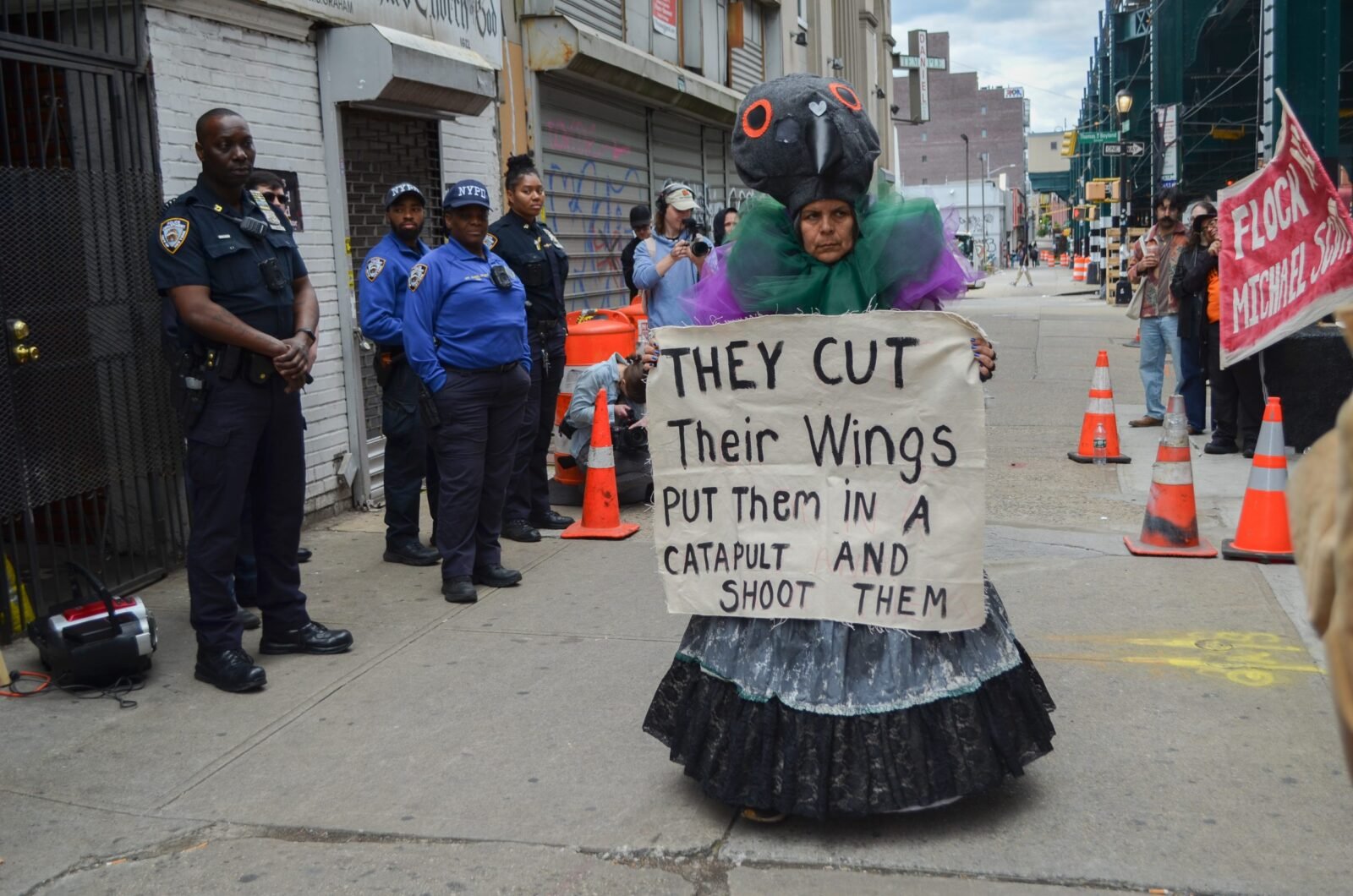 'Mother pigeon', the artist fighting to save NYC's urban birds