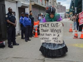 'Mother pigeon', the artist fighting to save NYC's urban birds