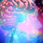 Psychedelics Could 'Rewire' The Brain to Reduce Alcohol Consumption : ScienceAlert