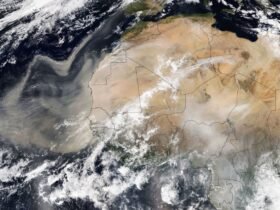 Sahara Dust Clouds Are Heading to Florida and Beyond