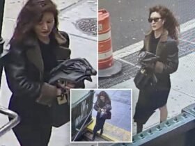 Scissors waving, well -dressed female punches, stuck man who takes pictures on NYC Street in broad daylight: agents