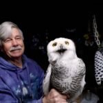 Since 1981, a man has moved nearly 1,000 Snowilt from Logan Airport - Colossal