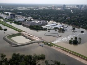 Stronger Flood-Related Building Codes Are Coming for New Hospitals, Schools and Apartments
