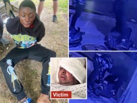 The 23-year-old criminal presumably from the beating of Off-Duty NYPD officer in prison-on-camera attack is embedded