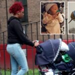 The NYC newborn family claims that she died of SIDS after I confirmed that Pit Bull was not a perpetrator