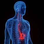 Vagus nerve stimulation shows promise for spinal cord injury recovery