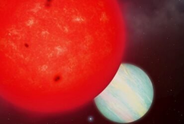 A Super-Tiny Star Gave Birth to a Giant Planet And We Don't Know How : ScienceAlert
