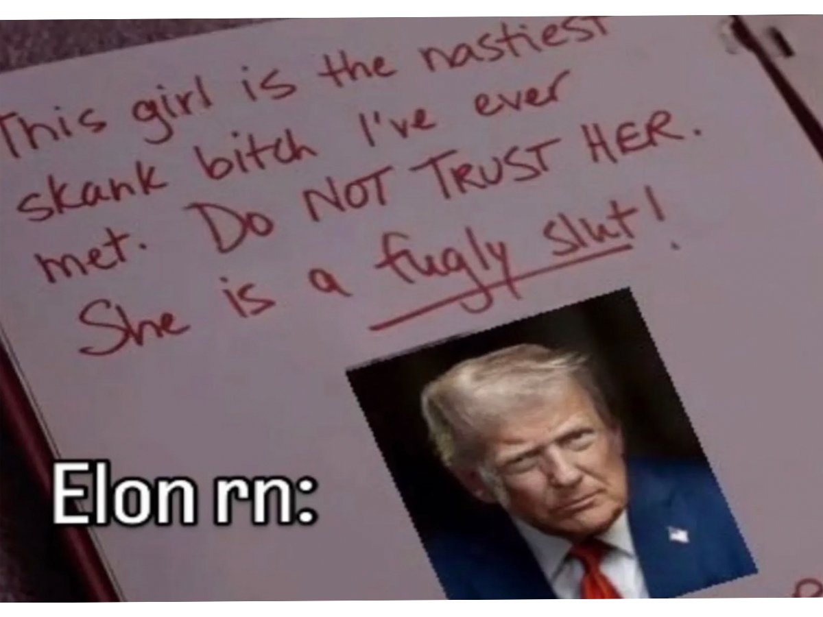 A revis with Trump-MUSK that is ripe for the meme-ing