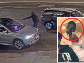 'Beamteam' Gangbanger gets for 9 years in the federal prison for Willis Tower Carjacking
