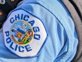 Burglar broke in 13 cars in the loop at night, the police say