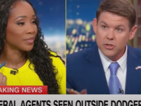 CNN Panel Recoils At Conservative Guest's Comment To Friend’s Undocumented Wife