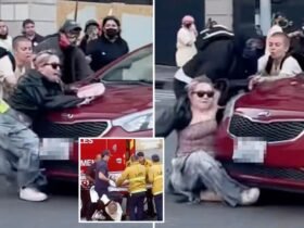 Chaotic Video puts the moment that Feder-Up Driver overflows over 'No Kings' demonstrator in Los Angeles