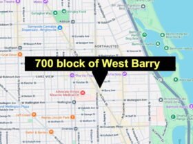 Couple robbed, carjacked under shot in Lakeview