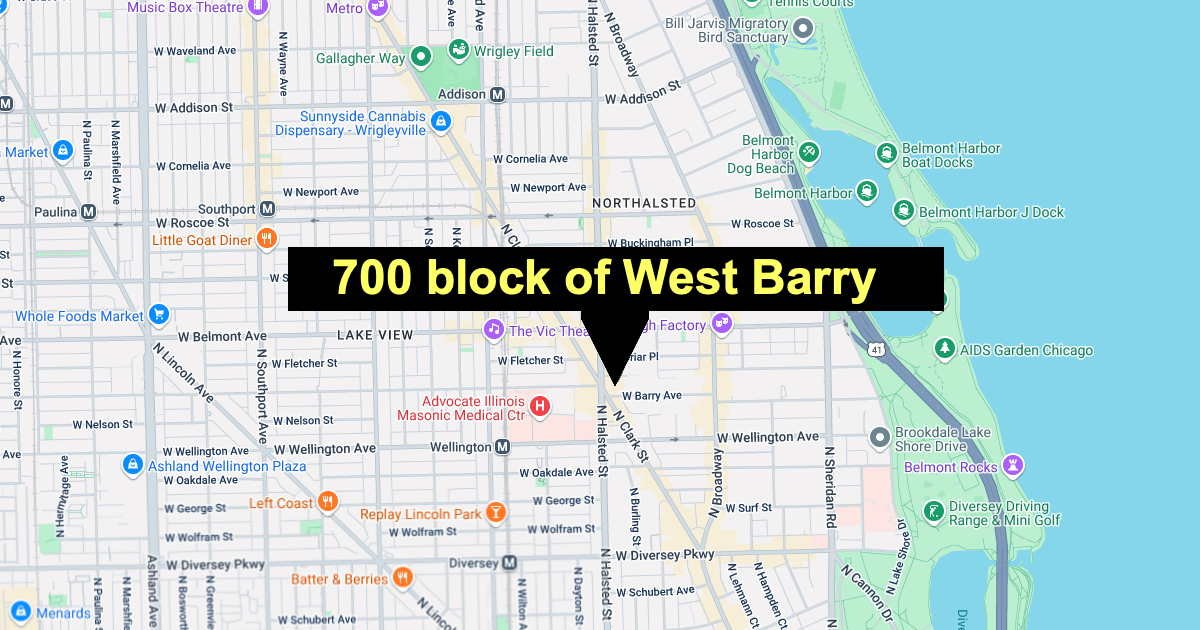 Couple robbed, carjacked under shot in Lakeview
