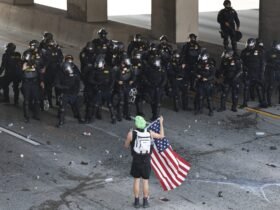Defining photos of La's historical anti-Ice protests
