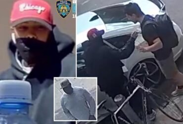Dognapping Duo Snatch 2 French bulldogs from NYC Home during a series of violent robberies: agents