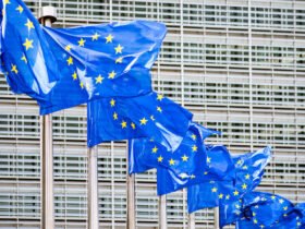 European Union flags flutter in the wind