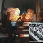 FEDS NAB 7 Thieves accused of stealing $ 100 million in gold, diamonds, rubies, rubies and other bling in the greatest jewel robbery in American history