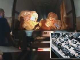FEDS NAB 7 Thieves accused of stealing $ 100 million in gold, diamonds, rubies, rubies and other bling in the greatest jewel robbery in American history