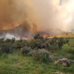 Fire fuels vision for Canterbury basin