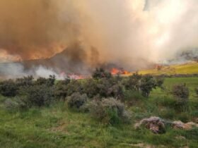 Fire fuels vision for Canterbury basin