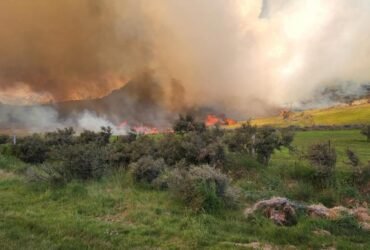 Fire fuels vision for Canterbury basin