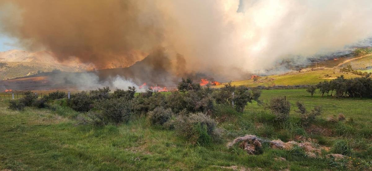 Fire fuels vision for Canterbury basin