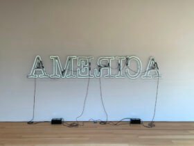 For Glenn Ligon there is language material