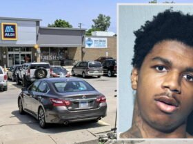 Grandma Carjacked under shot in the parking lot of Aldi while the 6-year-old grandson looks at it