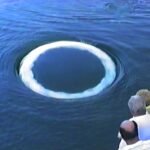 a group of people watch a white ring appear in the ocean