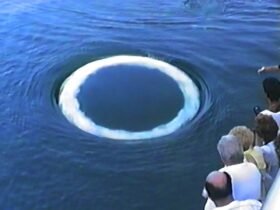 a group of people watch a white ring appear in the ocean