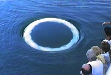 a group of people watch a white ring appear in the ocean