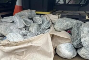 Hundreds of stolen pounamu pieces returned