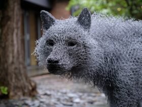 a detail of a life-size wire sculpture of a wolf