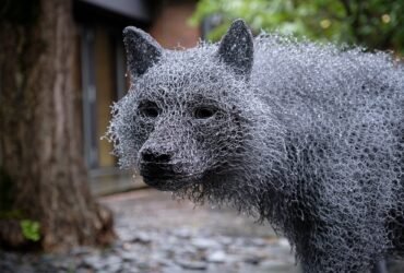 a detail of a life-size wire sculpture of a wolf