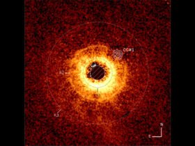 This image shows a star, center, whose light is blocked so that the surrounding dust rings are visible. Three are labeled and a spot on the edge of one is marked with concentric circles to denote the location of a purported exoplanet spotted by the Webb telescope.