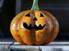 Indecent act on Halloween lands man home detention