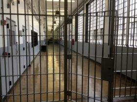 Jail Increases Provide Insight Into Justice System Changes