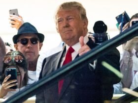MSNBC Unpacks The 1 Constant In The 10 Chaotic Years Since Trump’s Escalator Ride