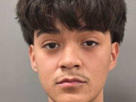 Man accused of 91 MPH highway Crash who killed his younger brother