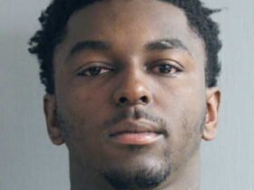 Man charged with Carjacking Off-Duty guard near Wicker Park has extensive experience with similar accusations