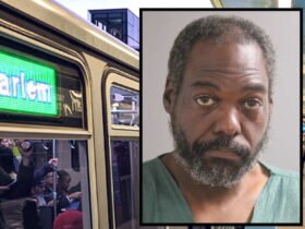 Man sexually abused disabled woman at Knifepoint on CTA Train, Metra Property: public prosecutors