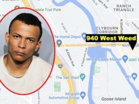 Migrant is sentenced to 3 years prison for robbing the woman near Goose Island (but he will be out within a year)