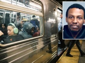 NYC Subway 'Hall of Fame' perpetrator with around 230 arrests achieved 4 of the busts in the past month: Sources