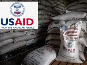 Official USAID argues guilty of participating in $ 550 million bribery plan: 'Written public trust'