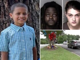 Parents of the 7-year-old NC Boy killed home walking home from the supermarket charged